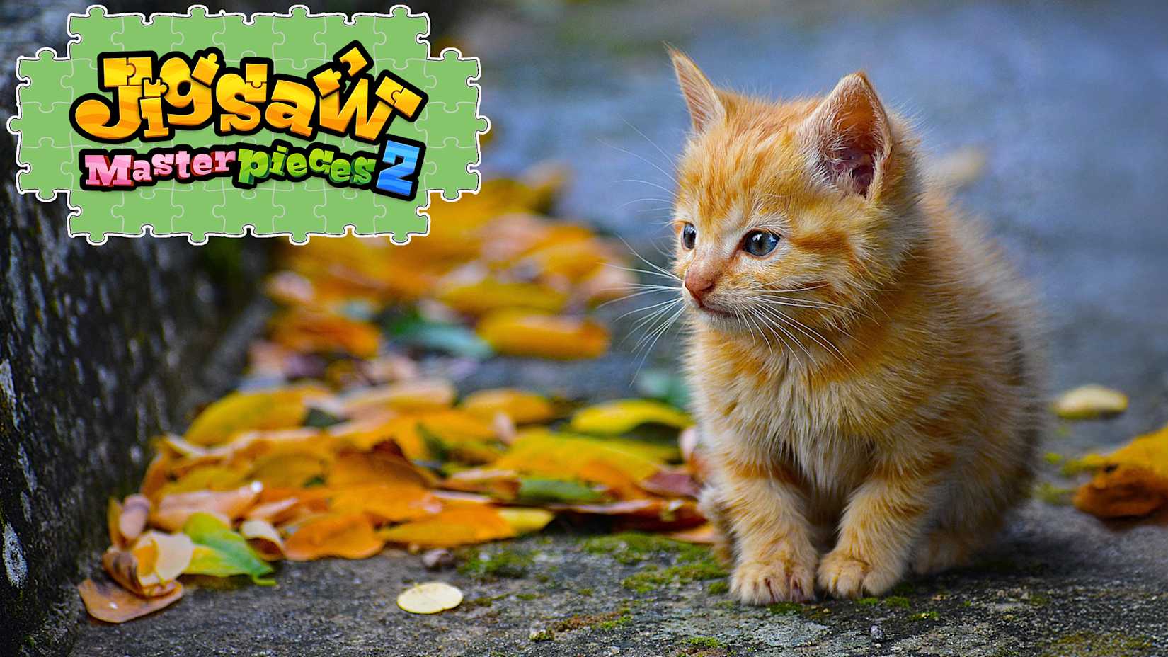 Kittens’ Day 封面