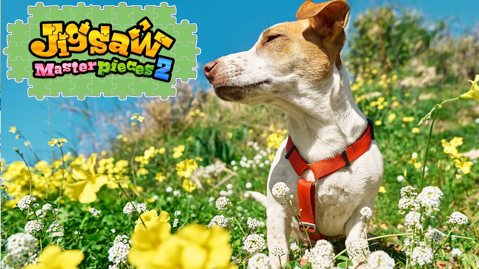 Animals with Flowers 封面