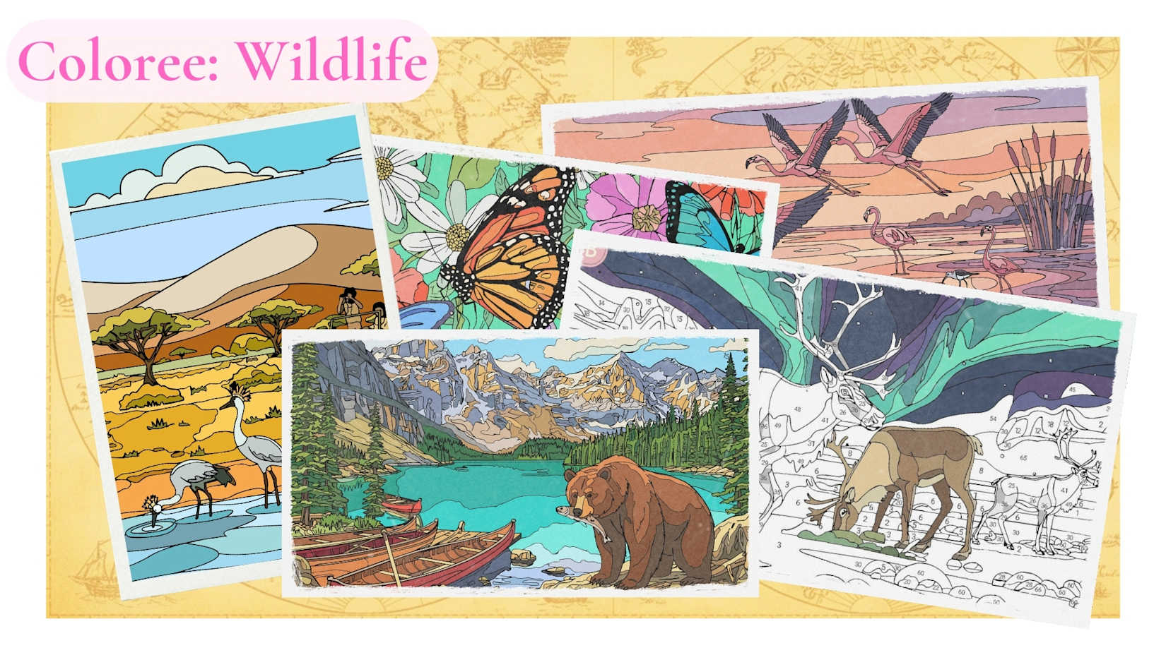 Capa de Wildlife