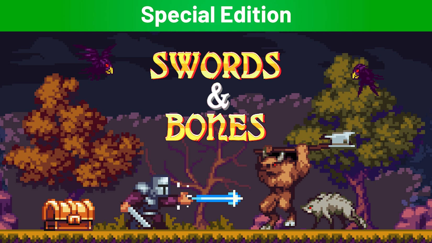 Capa de Swords & Bones Special Edition