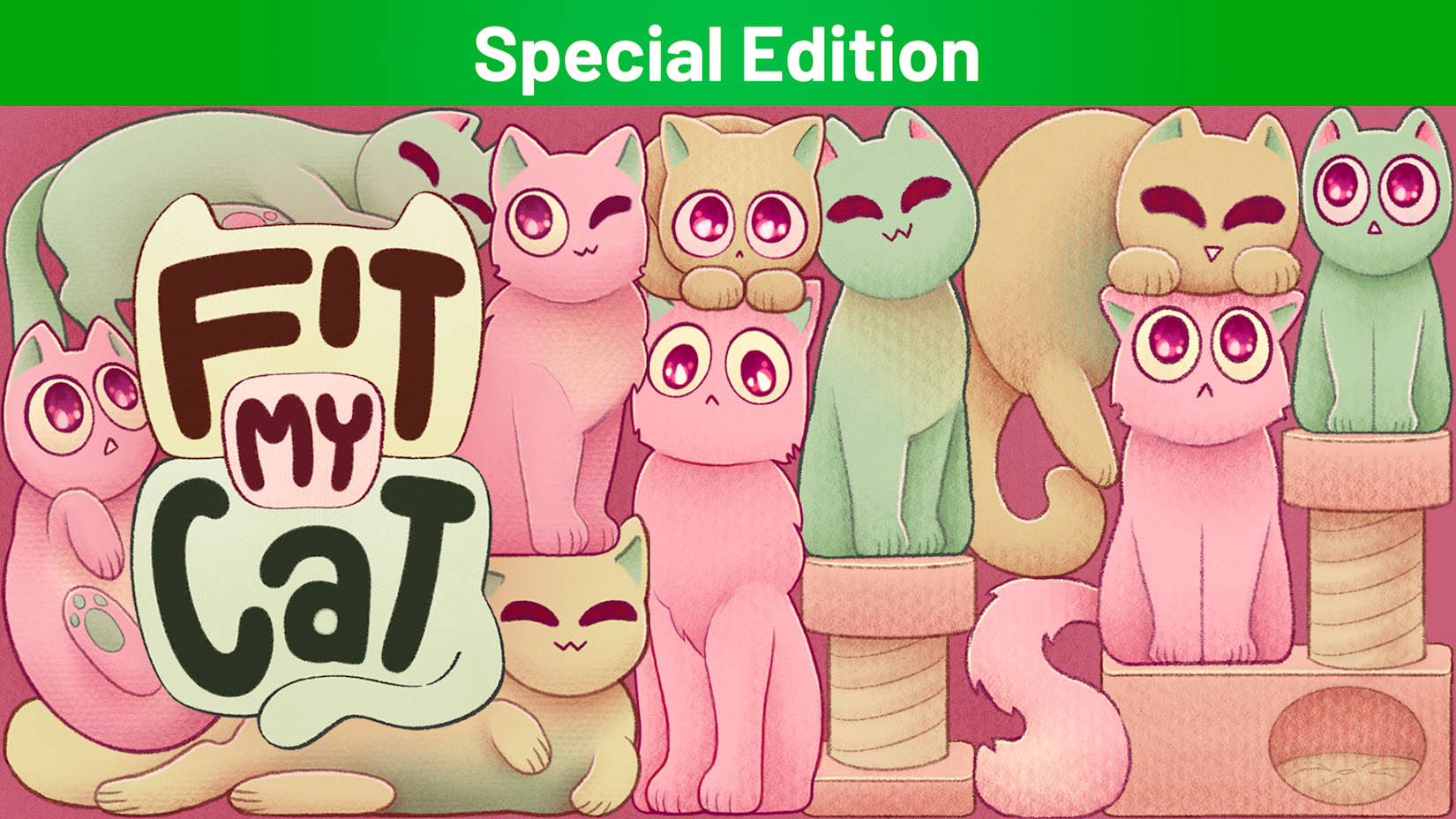 Fit My Cat Special Edition 封面
