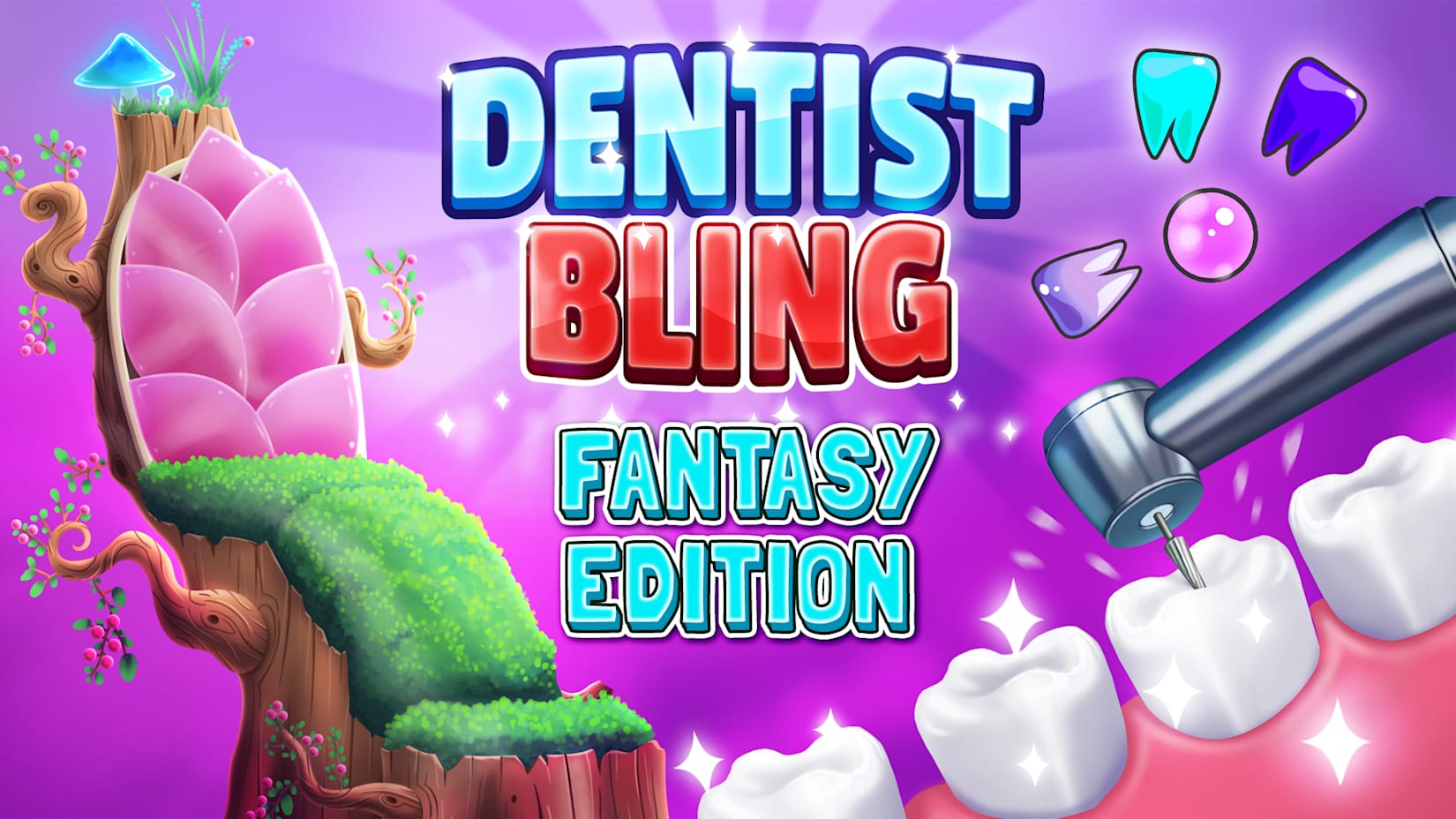 Dentist Bling: Fantasy Edition 封面