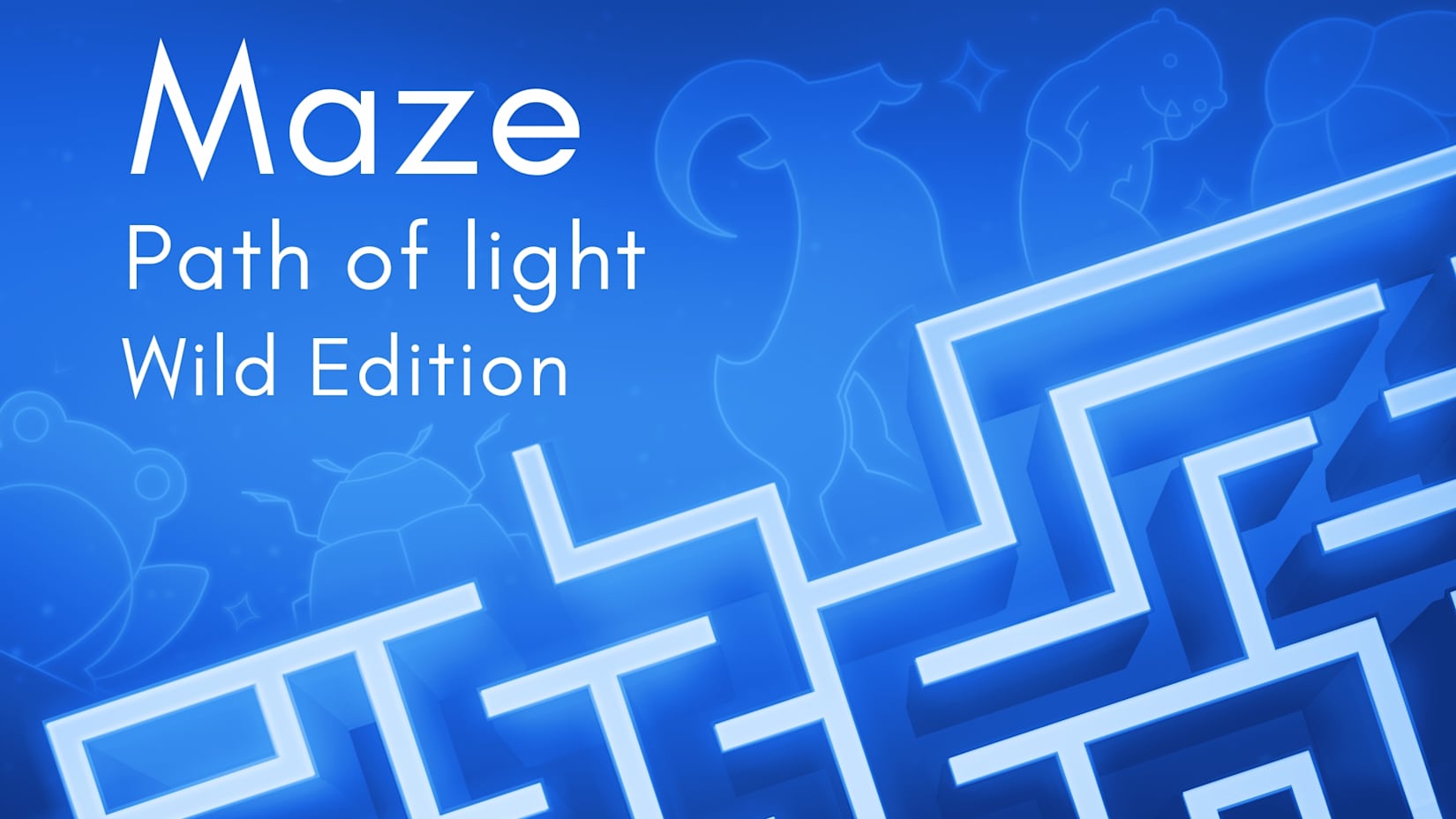 Capa de Maze: Path of Light - Wild Edition