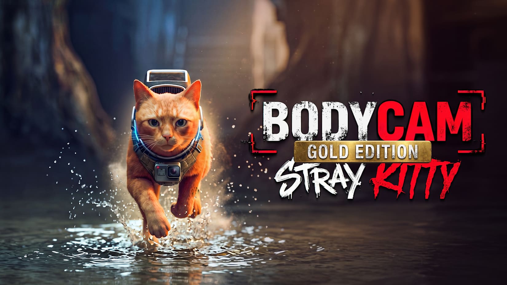 Capa de Bodycam Stray Kitty Gold Edition