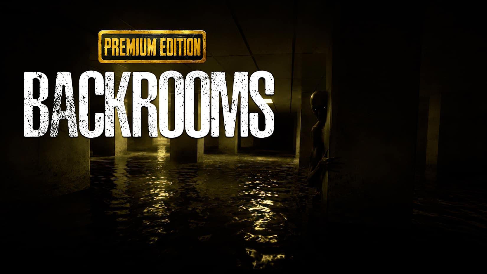 Capa de BACKROOMS PREMIUM EDITION