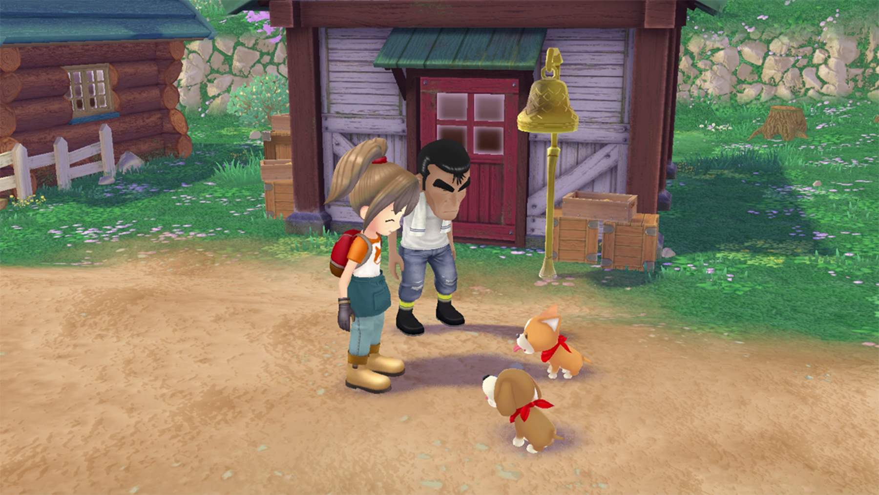 Story of Seasons: A Wonderful Life SWITCH 1