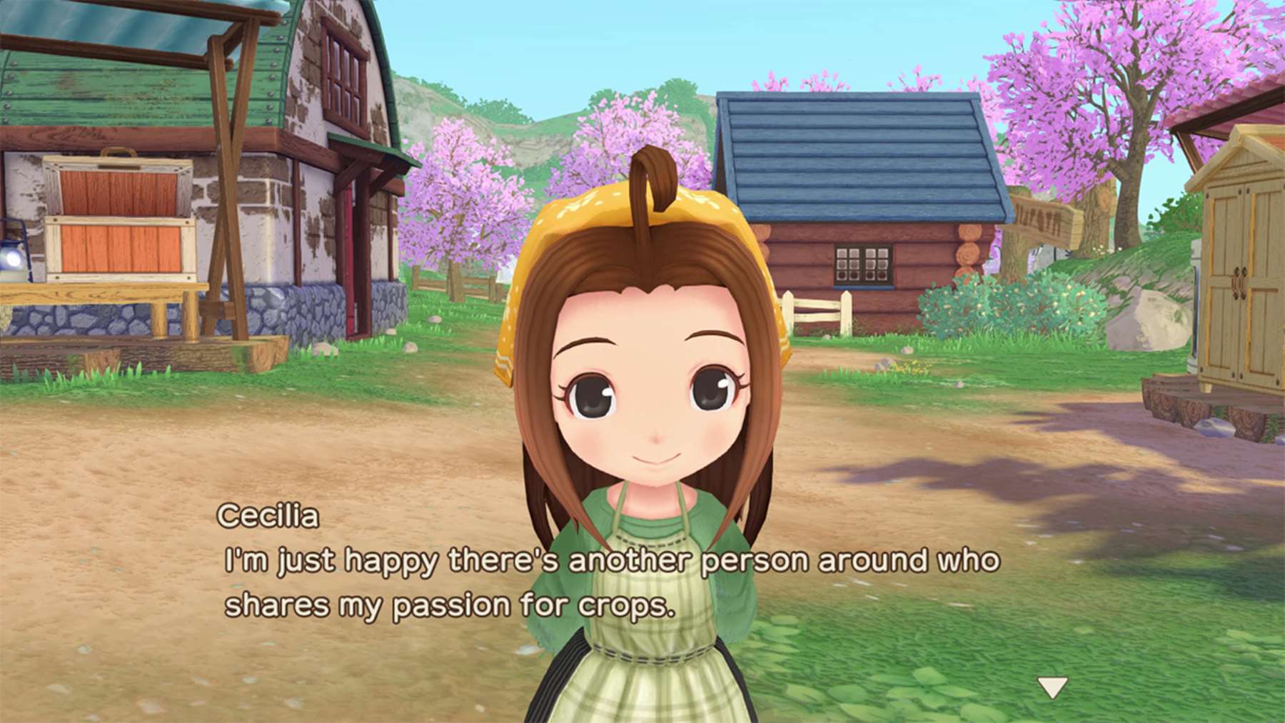 Story of Seasons: A Wonderful Life SWITCH 3