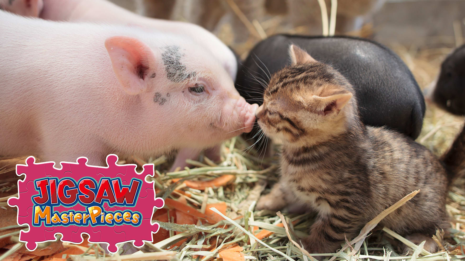 Cats and Friends on the Suetoshi Farm / Kenta Igarashi