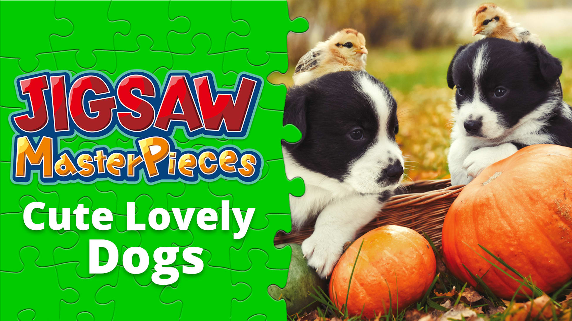 Cute Lovely Dogs