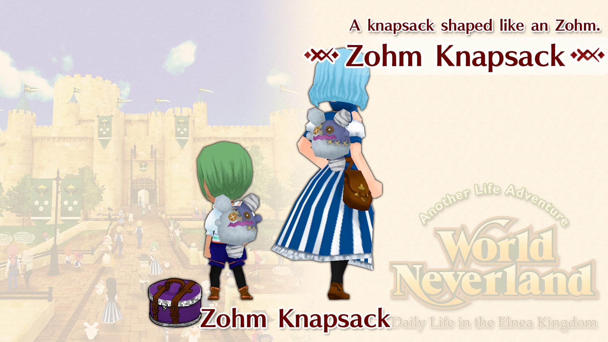 Zohm Knapsack