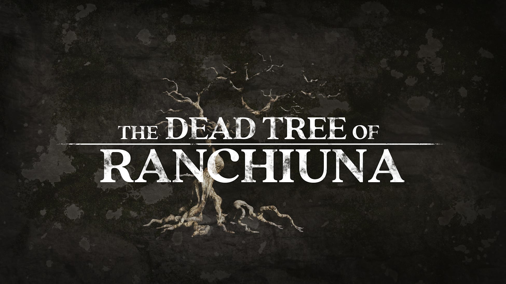 The Dead Tree of Ranchiuna