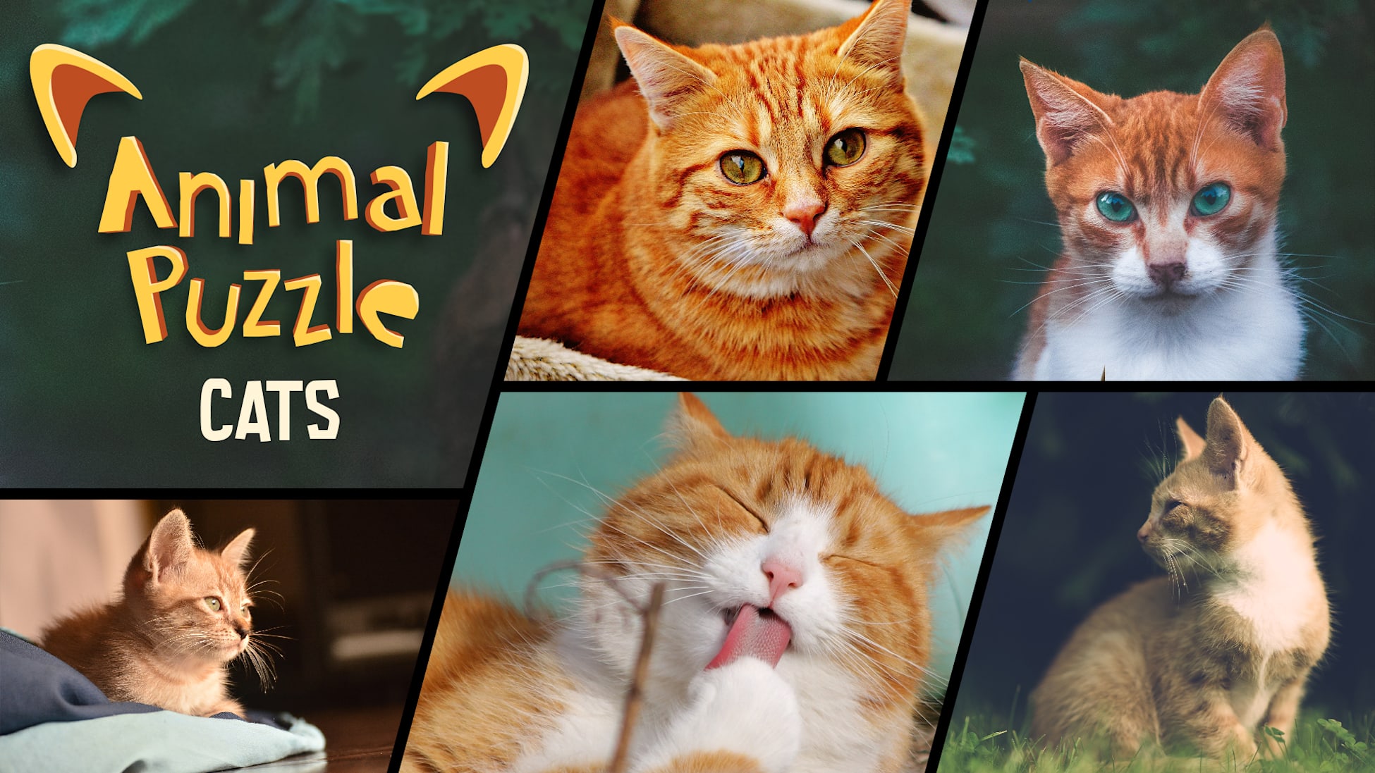 Animal Puzzle Cats