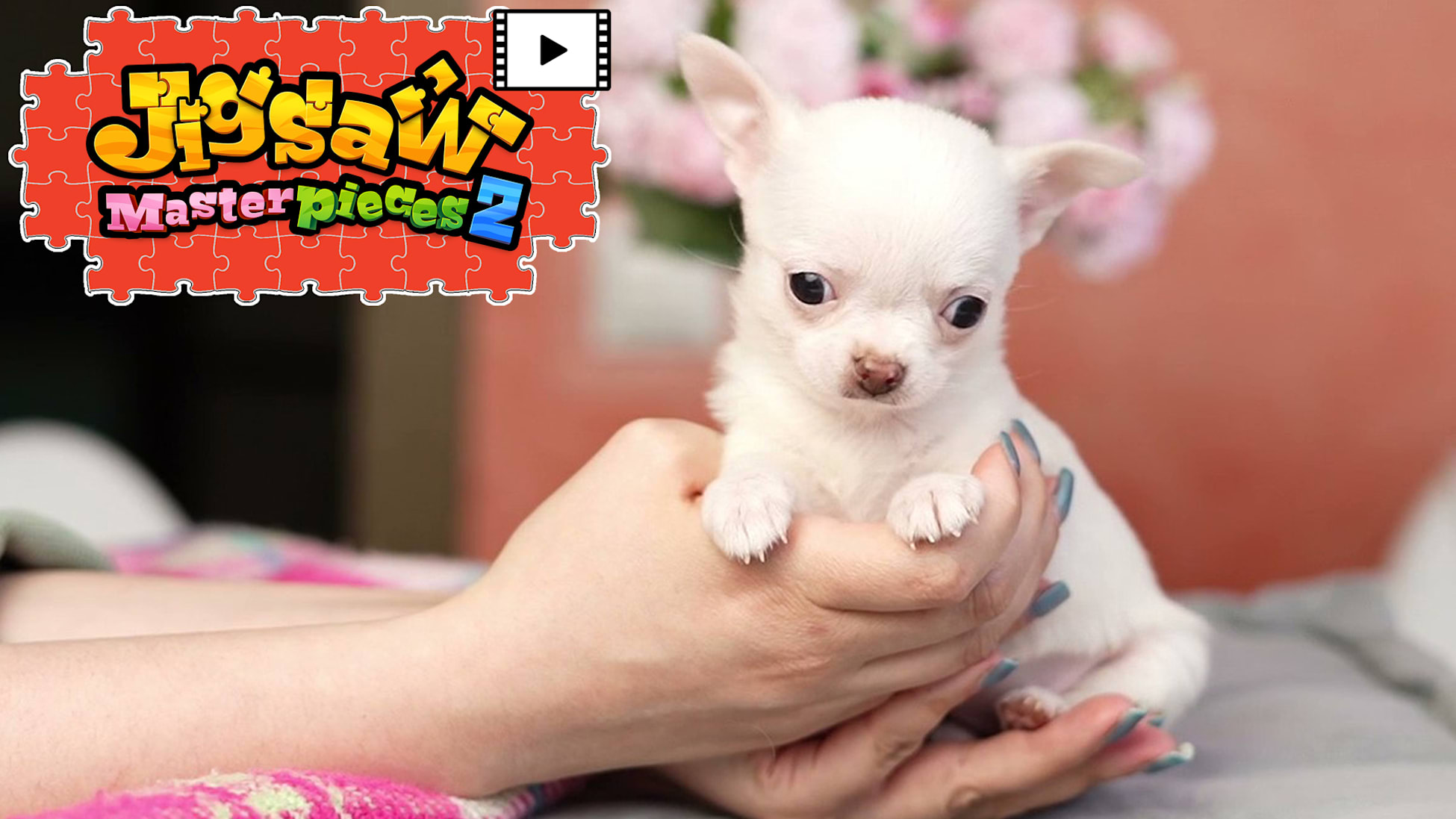 [Moving] Fluffy Puppies