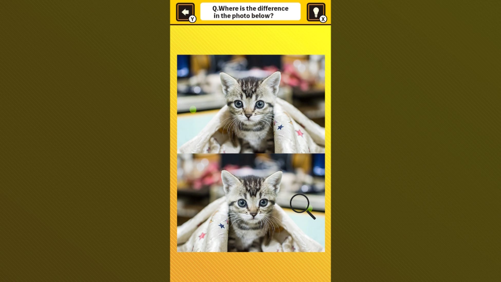 锻炼你的大脑！在猫猫照片中找出异同-Train Your Brain! Spot the Difference with Cat Photos-游戏截图-好玩客