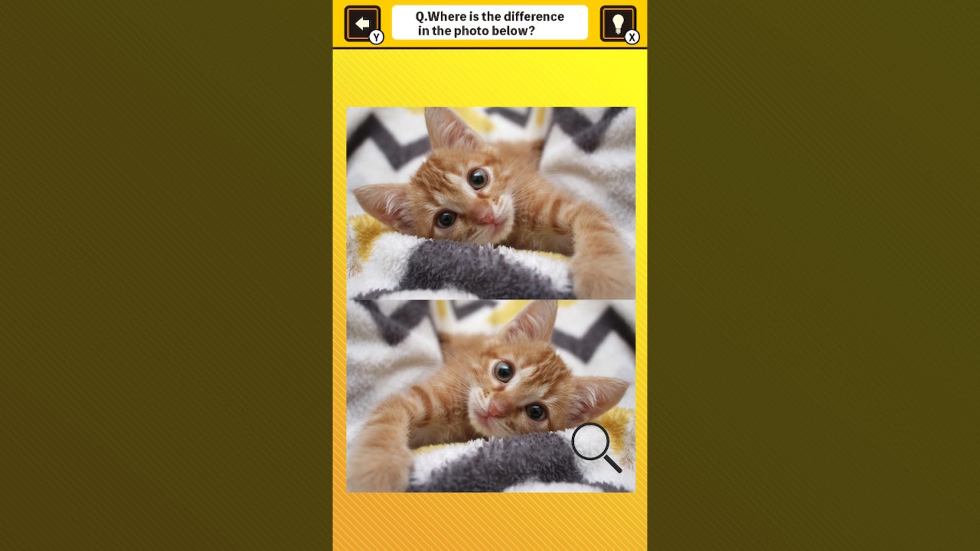 锻炼你的大脑！在猫猫照片中找出异同-Train Your Brain! Spot the Difference with Cat Photos-游戏截图-好玩客