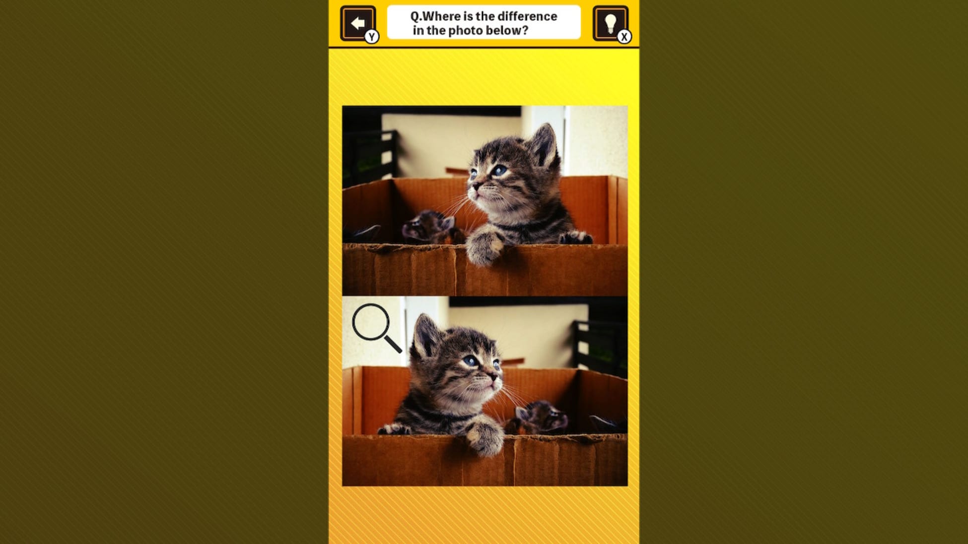 锻炼你的大脑！在猫猫照片中找出异同-Train Your Brain! Spot the Difference with Cat Photos-游戏截图-好玩客