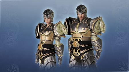 Unisex Custom Black Tortoise Armor Set