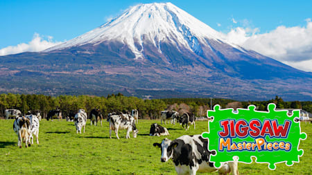 Fujiyama - Mountain Fuji -