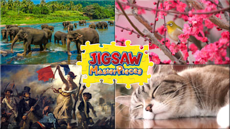 Jigsaw Masterpieces: Variety Pack