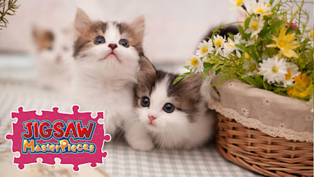 Little Kittens / Kenta Igarashi