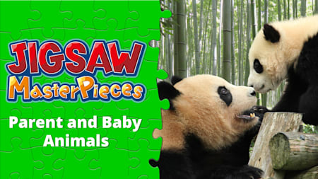 Parent and Baby Animals