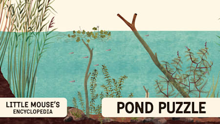 Pond Puzzle