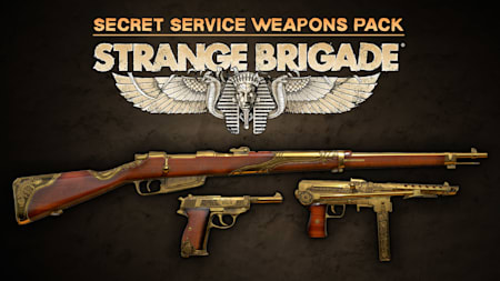 Secret Service Weapons Pack