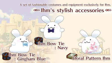 Ihm's stylish accessories Set