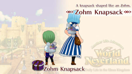 Zohm Knapsack