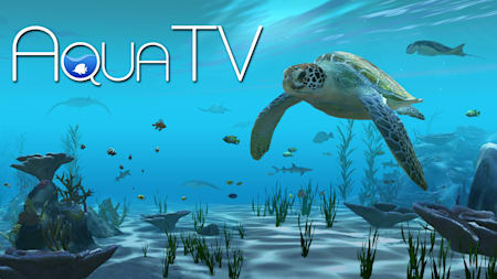 Aqua TV