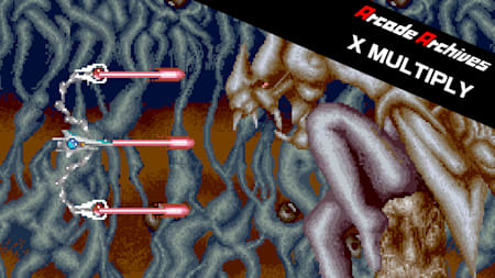 Arcade Archives X MULTIPLY
