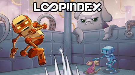 Loopindex