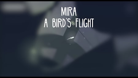 Mira : A Bird's Flight