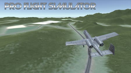 Pro Flight Simulator