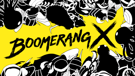 Boomerang X