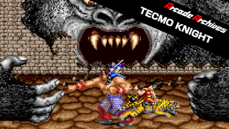 Arcade Archives TECMO KNIGHT