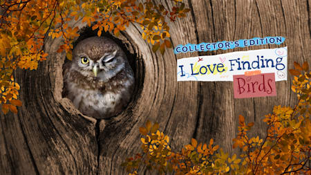 I Love Finding Birds Collector's Edition