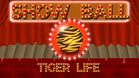 Show Ball: Tiger Life
