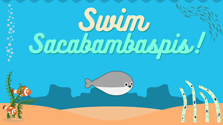 Swim Sacabambaspis!