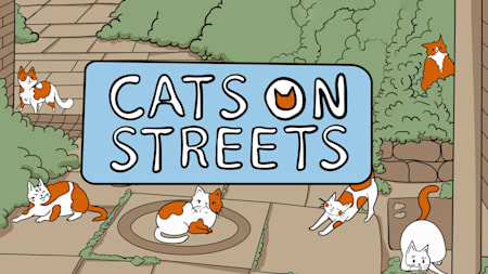 Cats on Streets