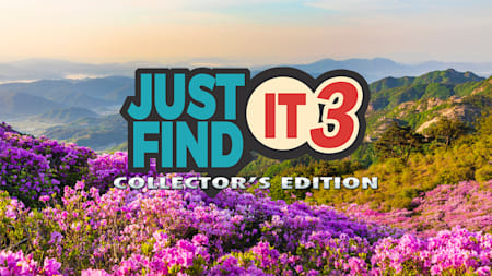 Just Find It 3 Collector's Edition