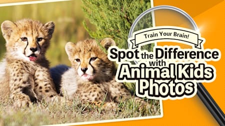 Train Your Brain! Spot the Difference with Animal Kids Photos