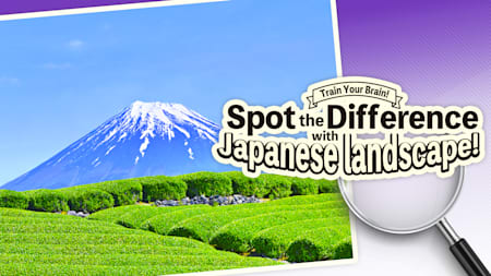 Train Your Brain! Spot the Difference with Japanese landscapes