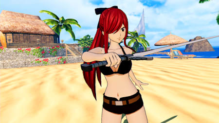 Erza's Costume 