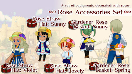 Rose Accessories Set