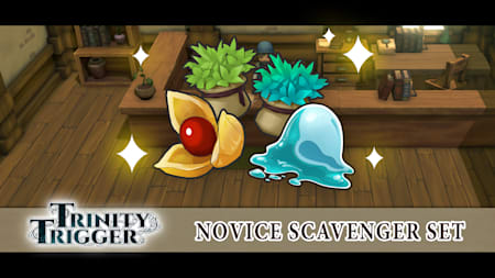 Novice Scavenger Set