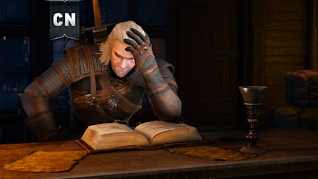 (CN) The Witcher 3: Wild Hunt Language Pack