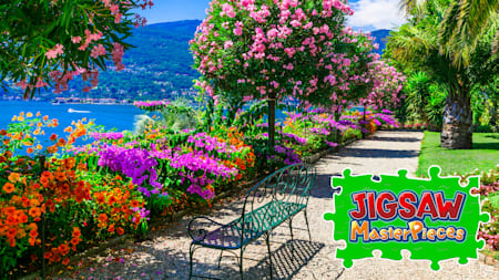 Colorful Garden