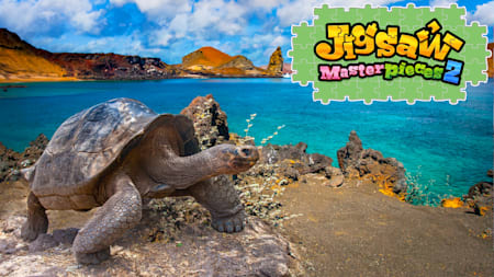 Galápagos: Wildlife Sanctuary