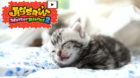 [Moving] Fluffy Kittens
